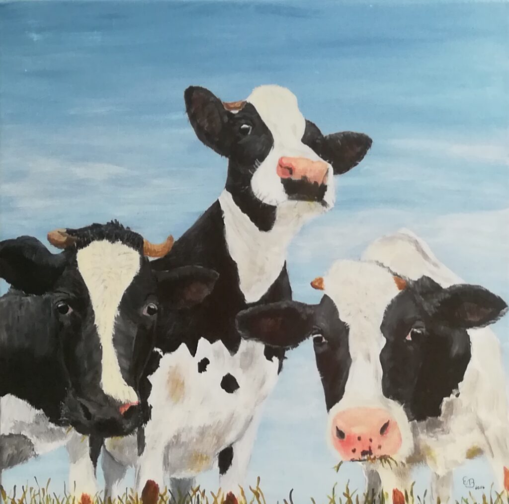 Neugierige Kühe 40 x 40 cm