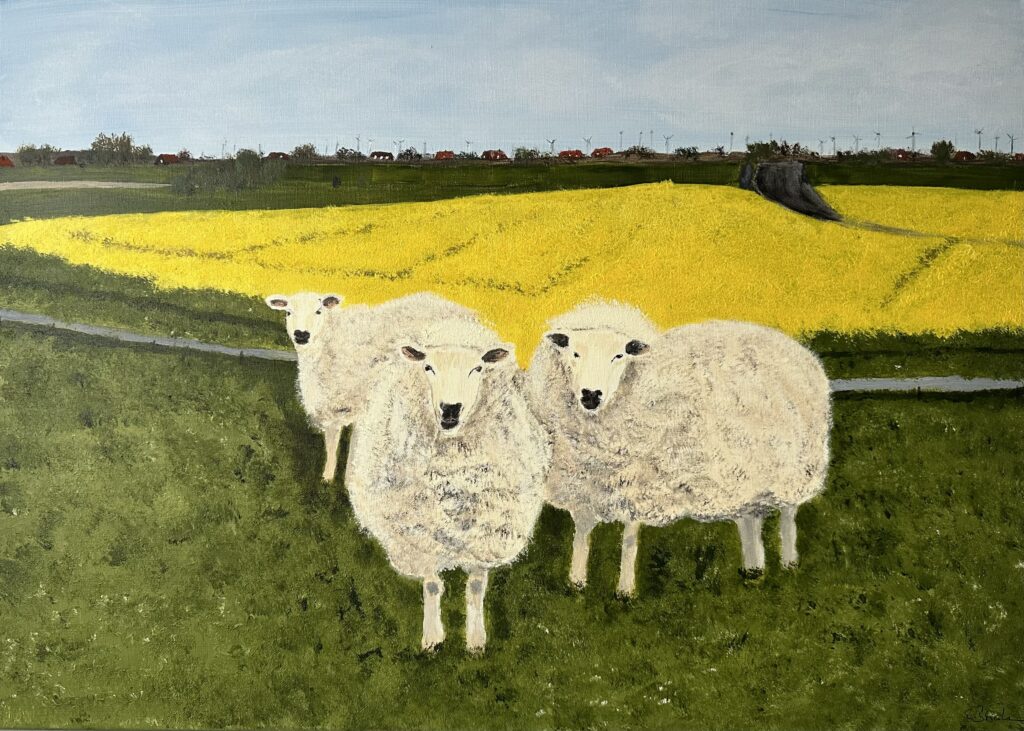 Schafe in Nessmersiel